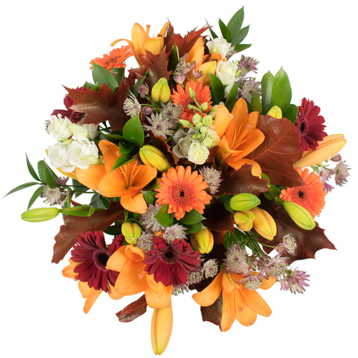From a slightly elevated view, this abundant autumn bouquet reads like a seasonal harvest arranged by a local florist on a crisp Luton morning. Several large, fully open orange lilies take centre stage, their trumpet-like petals unfurling in a confident display, while numerous compact lily buds in pale orange and vivid green add promising texture and layered anticipation. Scattered between them, vivid orange Gerbera daisies and rich burgundy-red Gerberas provide joyful contrast with their circular, ray-like petals and dark centres. Soft, creamy lisianthus blooms nestle into the composition, their ruffled petals offering moments of gentle brightness, and ethereal clusters of purple-grey Astrantia bring a delicate, starry filigree that lightens the visual weight. Notably, broad, lobed leaves in deep reddish-brown and chestnut tones evoke freshly fallen oak leaves, artfully arranged to underscore the bouquet's autumnal narrative, while vibrant green foliage and slender stems hold the dense head together and keep the bouquet feeling fresh and airy. The flowers are brightly lit against a pristine white background, which makes the warm palette sing and highlights the meticulous hand-tying and professional finishing. As someone who arranges seasonal bouquets for Flower Delivery Luton, I see this piece gracing an intimate dinner in Bury Park or a gift delivered to a family near Stockwood Park - it's a design that conveys warmth, gratitude, and the quiet abundance of the harvest. The overall effect is comforting and celebratory, ideal for autumn home décor, a heartfelt gift, or a seasonal centrepiece.